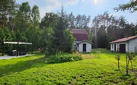 Leśne Studio